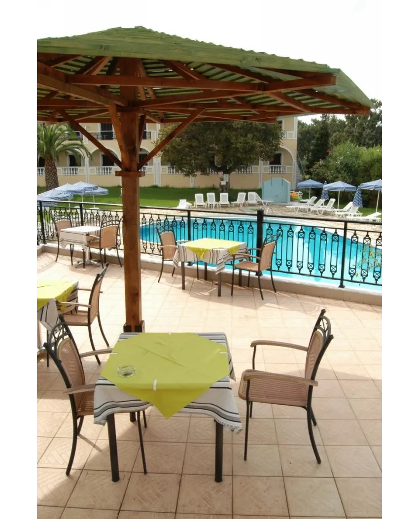 Palmyra Hotel Argassi 3*-10