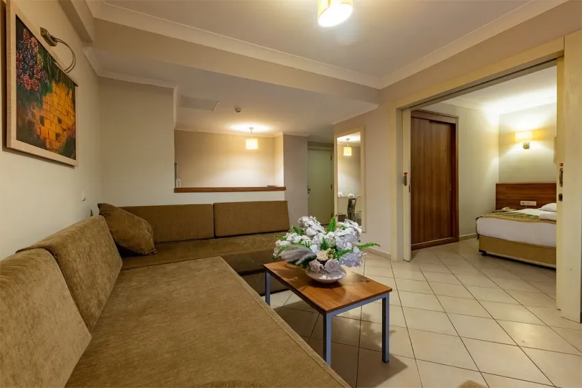 Viking Express Hotel 3*-16