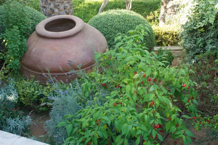 Hylatio Tourist Village 3*-12