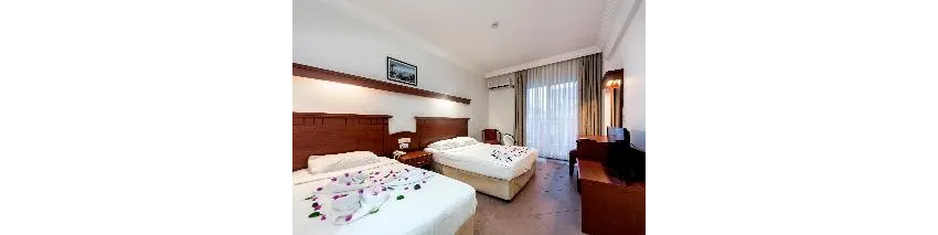 Wasa Hotel 3*-25