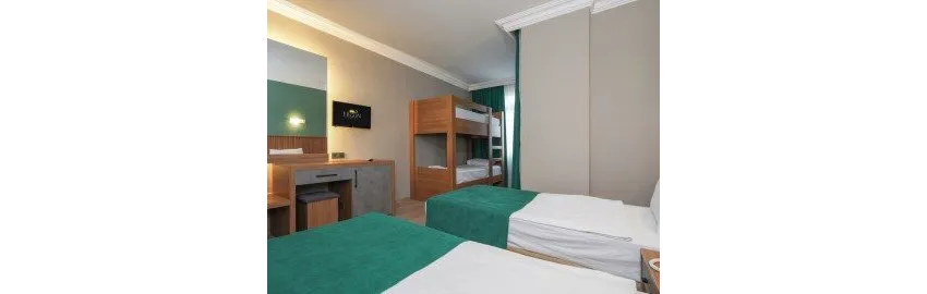 Ergun Hotel 3*-1