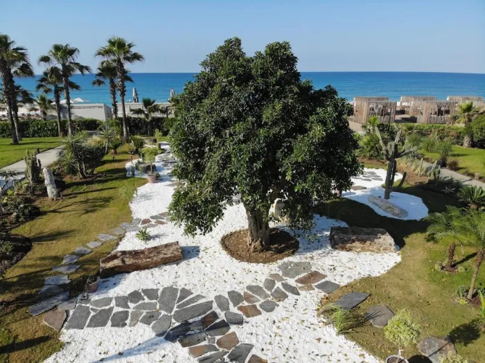 Paloma Finesse 5* - Side - Turcia