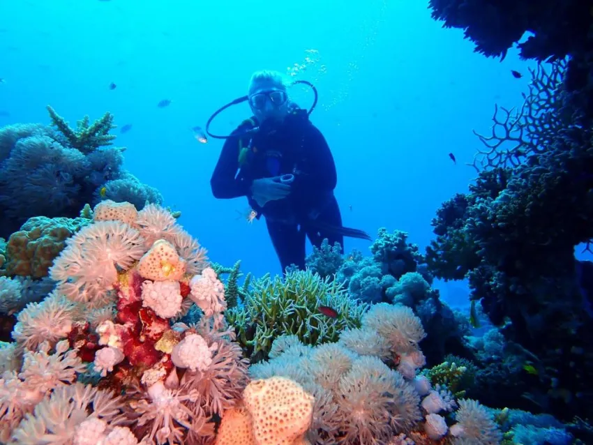 STEIGENBERGER GOLF RESORT EL GOUNA  5*-37