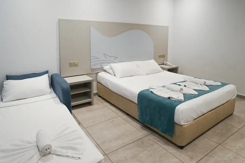 Nicholas Color 3*-14