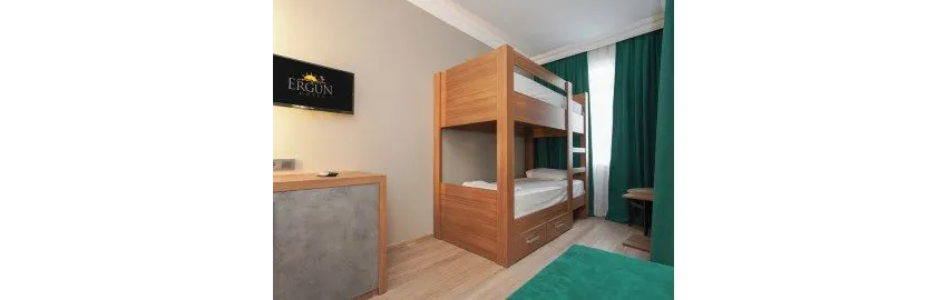 Ergun Hotel 3*-9