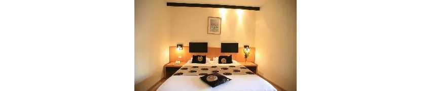 Hotel Les Palmiers 2*-24