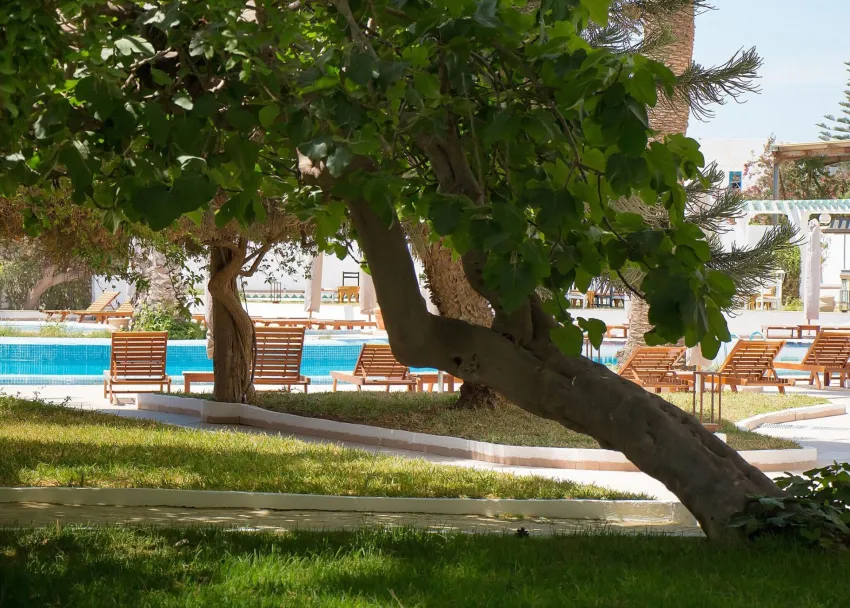 Bel Azur Thalassa & Bungalows 4*-3