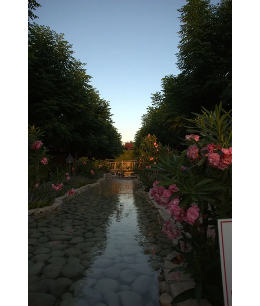 Can Garden Resort 4*-22