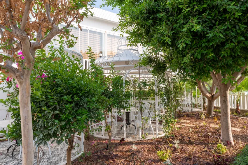 Flora Garden Beach (Adults Only 16+) 5*-151