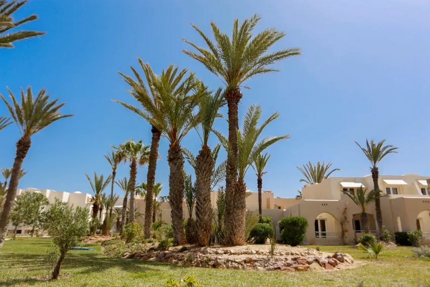 Golden Tulip President Hammamet Hotel 4*-33