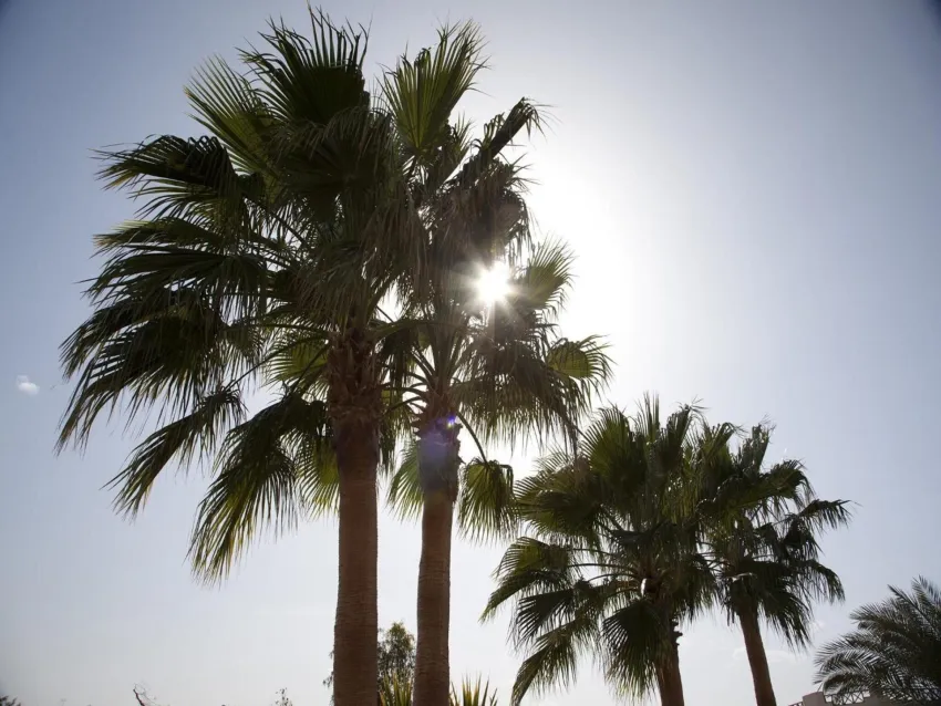 Coral Beach Resort Hotel 4*-2