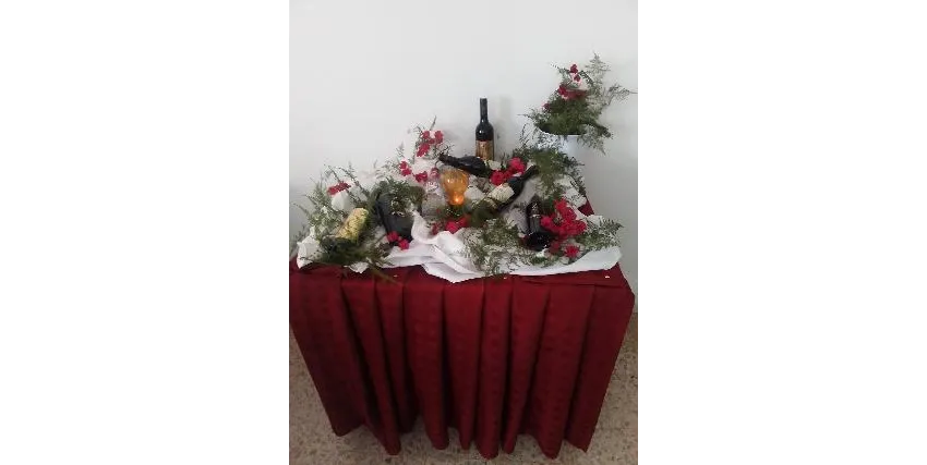 Hotel Les Citronniers 2*-6