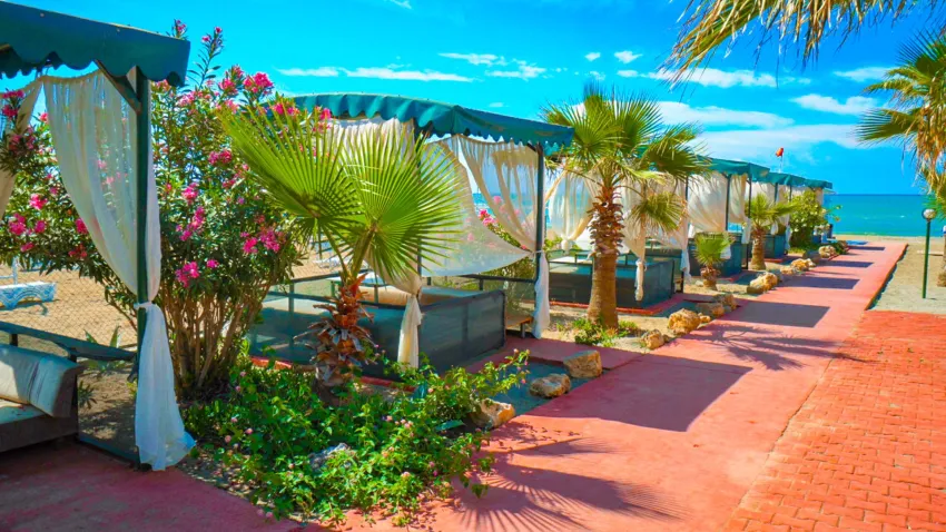 Club Wasa Holiday Village 4*-1