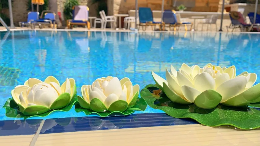 Kassavetis Center - Hotel Studios and Apartments 2*-97