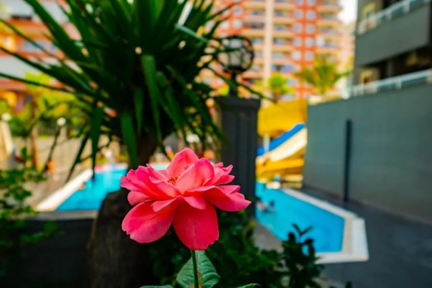 SENZA GRAND SANTANA HOTEL  4*-80