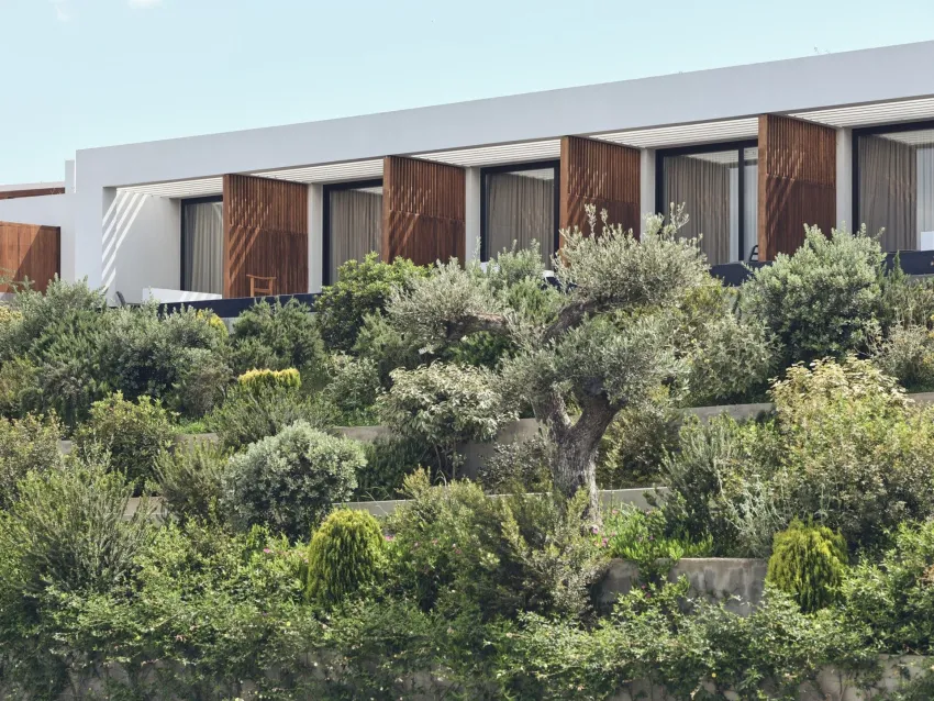 Zante Maris Suites 5*-3