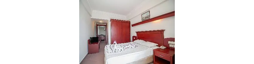 Wasa Hotel 3*-8