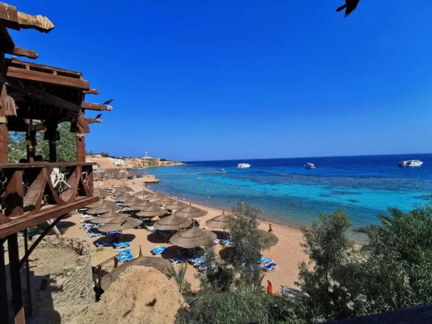 CLUB FARAANA REEF  4*-51