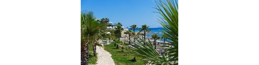 Flora Garden Beach (Adults Only 16+) 5*-101
