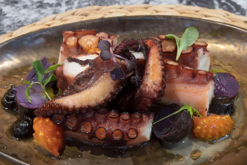 Melia Palma Marina 4*-423