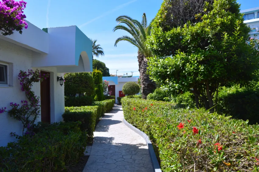 Blue Horizon Hotel 4*-18