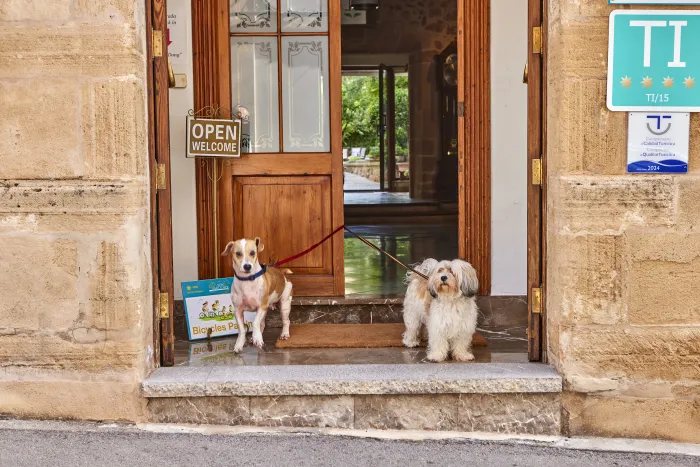 Son Sant Jordi Boutique House 4* - Puerto pollensa - Spania