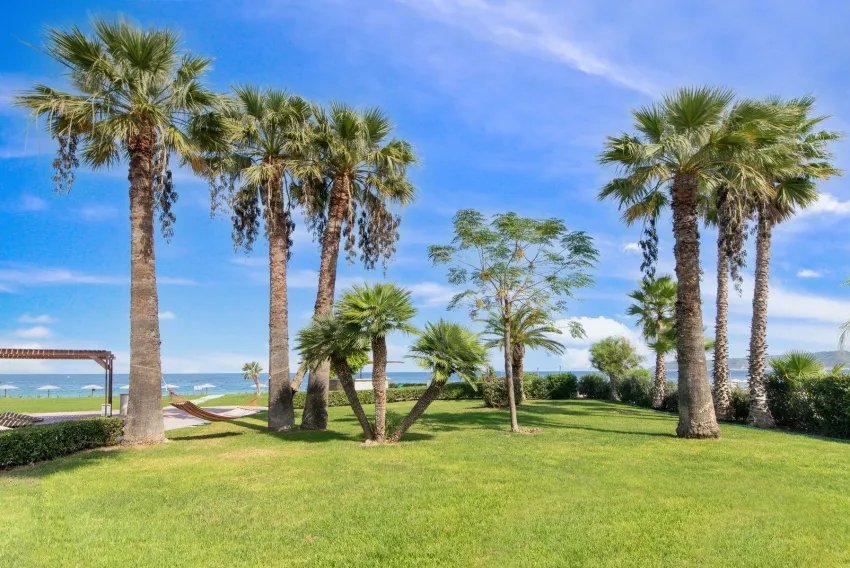 Ixia Dream Beachfront Hotel 4*-8