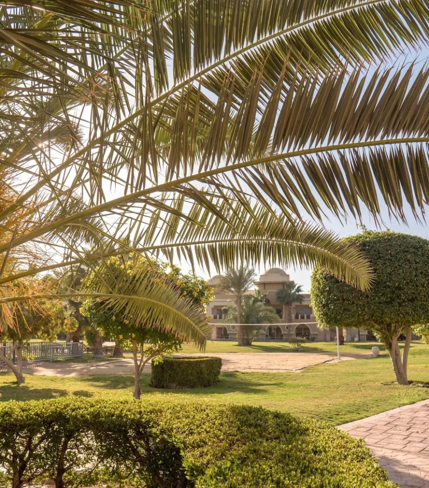 Serenity Alpha Beach (Ex Serenity Makadi Beach) 5*-53