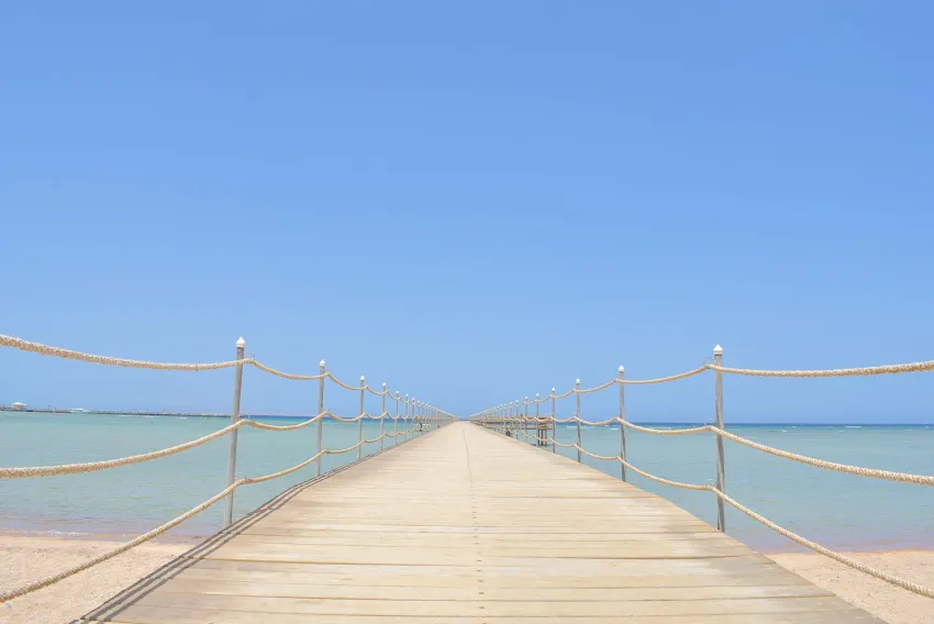 Jasmine Palace Resort & Spa 5*-23