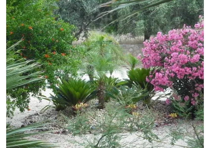 Summer Memories Apartments 3*-4