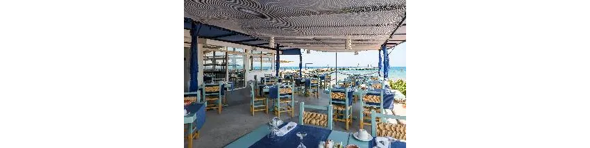 Desert Rose Resort 5*-93