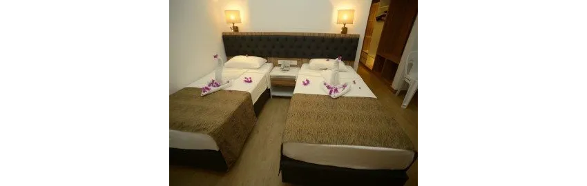 Kleopatra Celine 3*-6