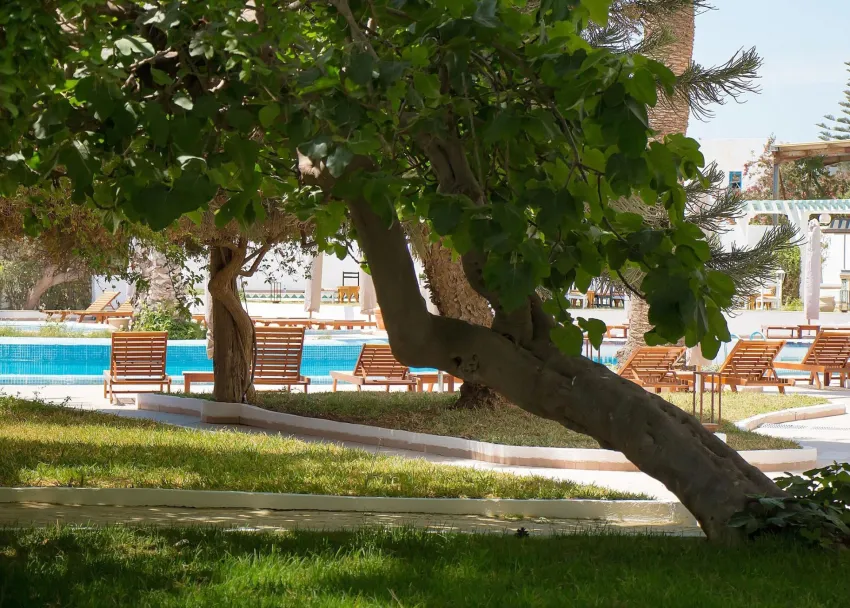 Bel Azur Thalassa & Bungalows 4*-19