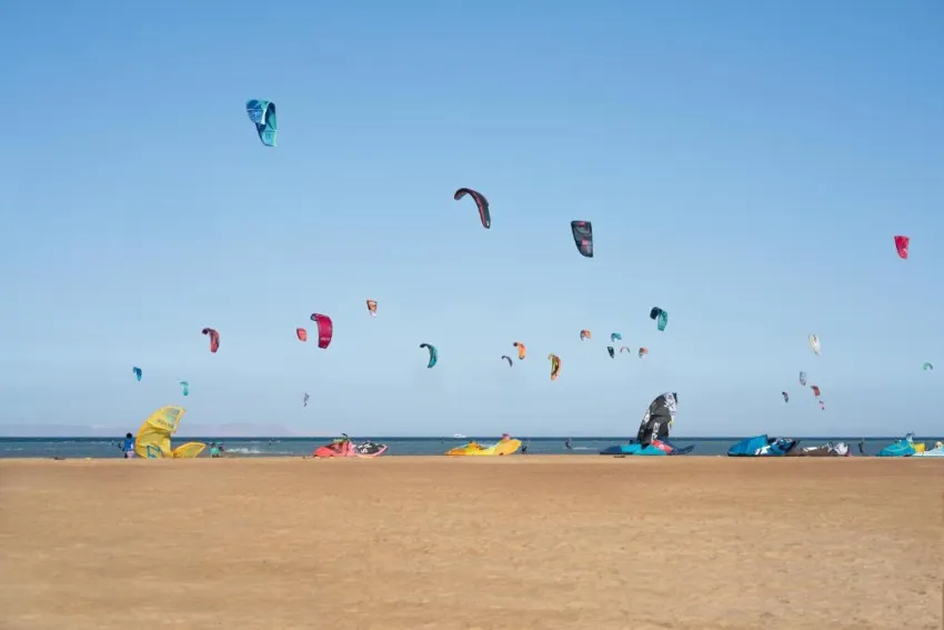 COOK'S CLUB EL GOUNA (ADULTS ONLY 16+)  4*-22