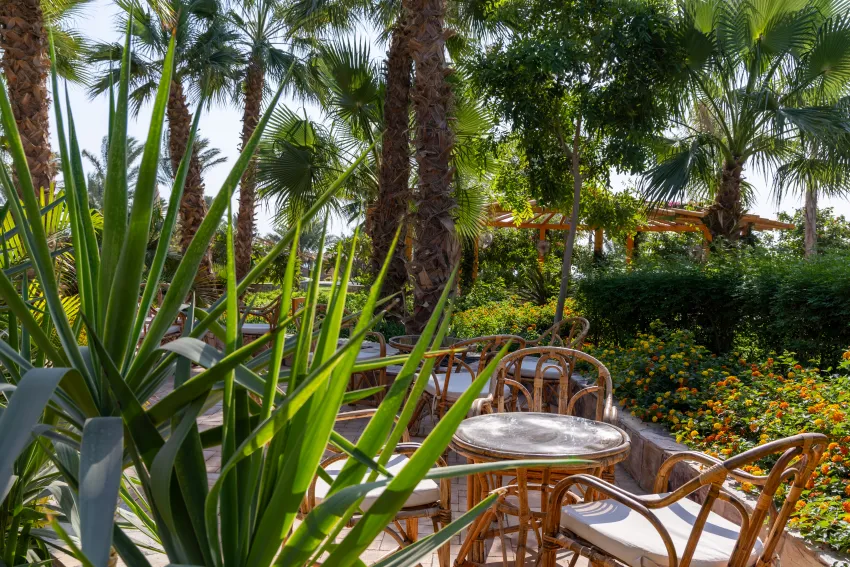 Fort Arabesque The Villas 4*-148