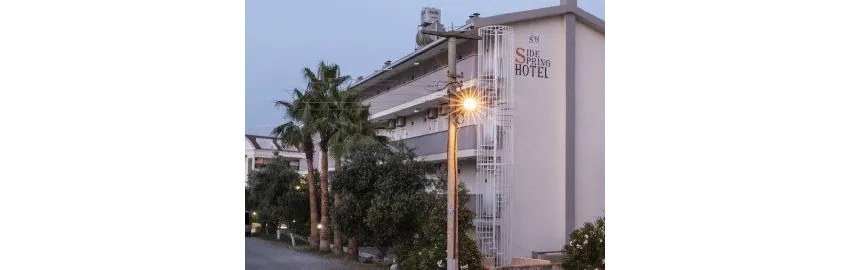 Side Spring Hotel 3*-1