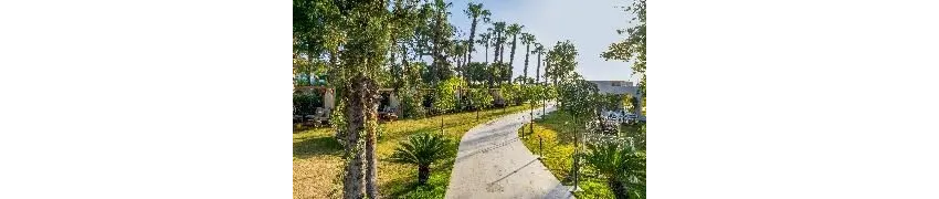 Rose Garden Premium Hotel 4*-10