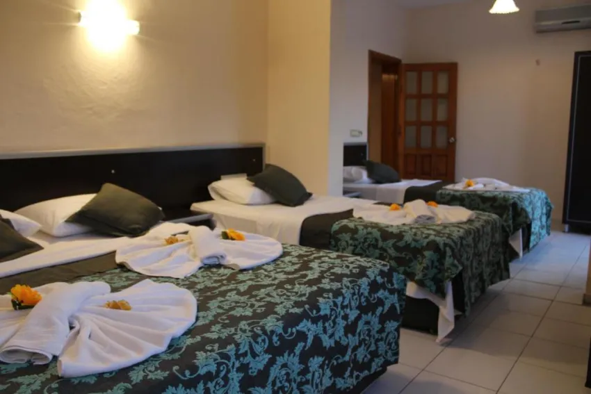 GOLD STONE HOTEL (EX.OZER PARK HOTEL)  3*-2