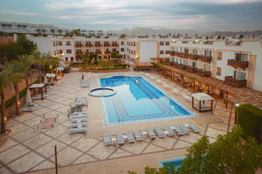 FALCON NAAMA STAR  3*-4