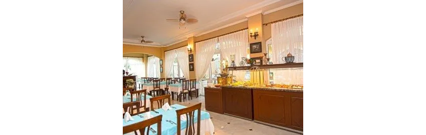 Sinatra Hotel 4*-30