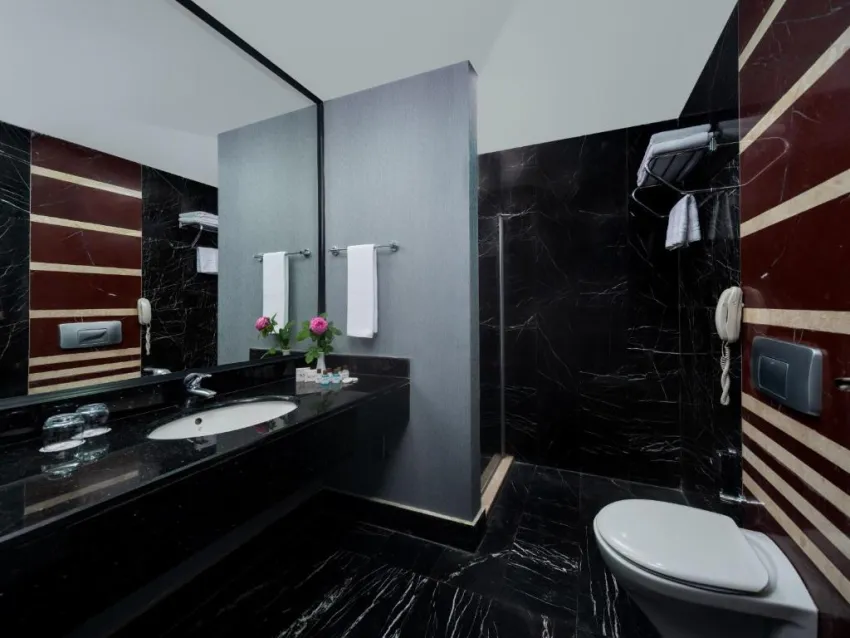 SIAM ELEGANCE HOTELS & SPA  5*-20