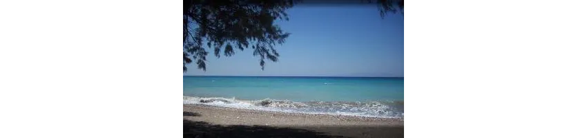 Asterias Bay Hotel-Theologos 3*-21