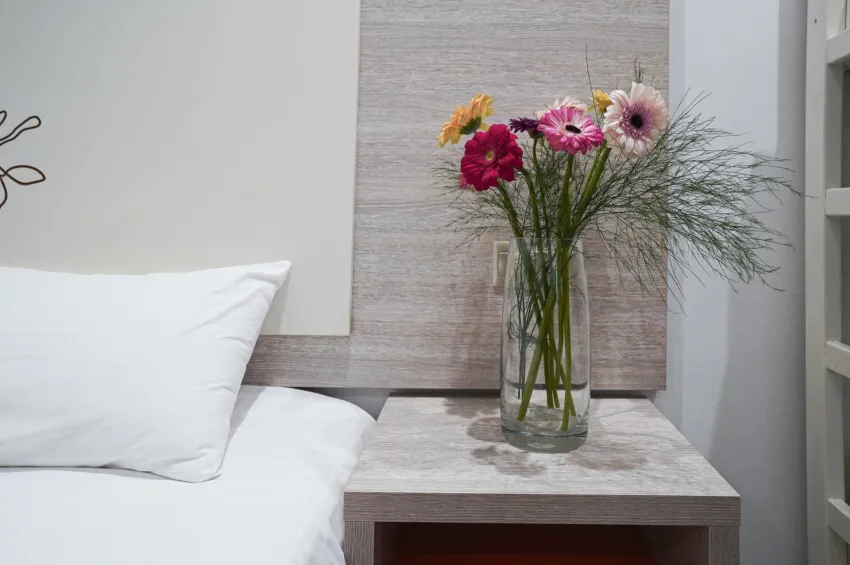 Nicholas Color 3*-11