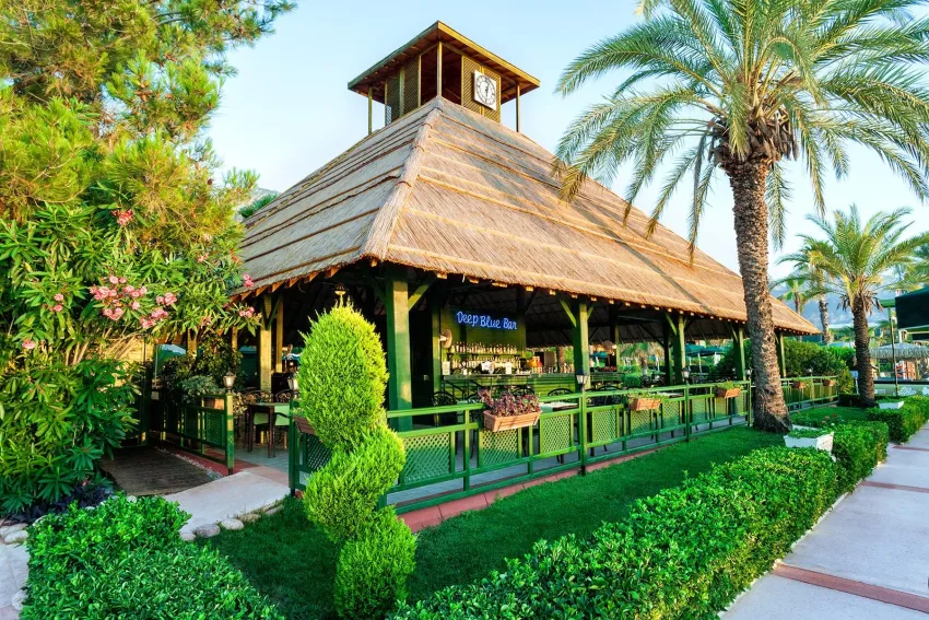 Gypsophila Club Marine 5*-8