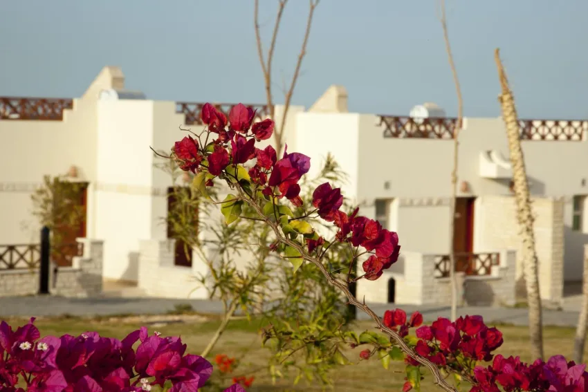 Sunrise Juman Beach (Ex. Coral Beach) 4*-17