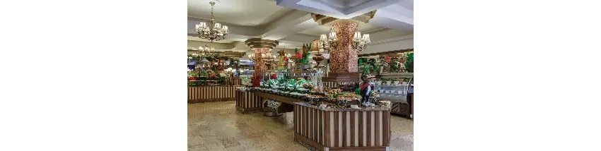 Delphin Botanik Hotel 5*-20