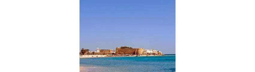 Mehari Hammamet 5*-116