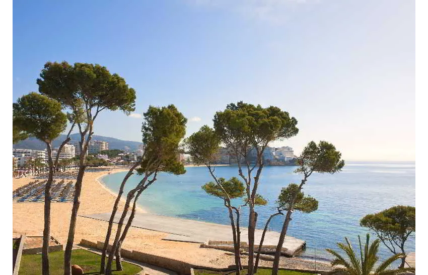 Melia South Beach 4*-260