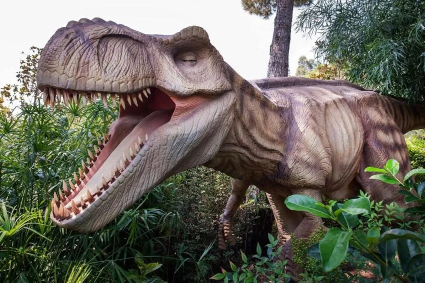 MAXX ROYAL BELEK GOLF RESORT  5*-20