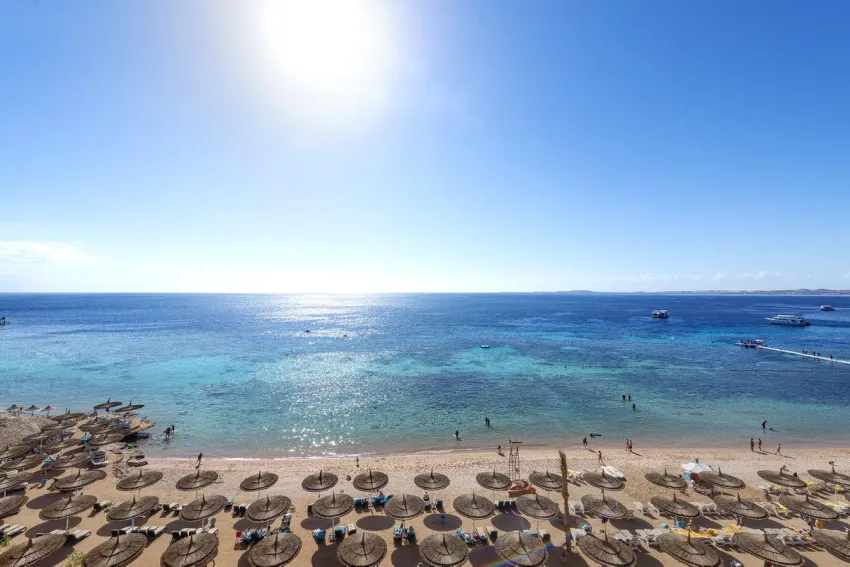 Reef Oasis Beach Resort 4*-10
